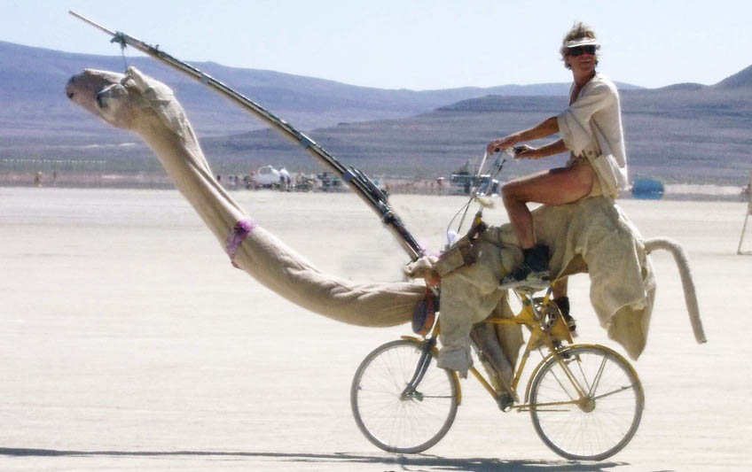 Camel bike at Burning Man